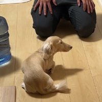 ビクッと反応する一幕も