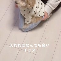 「お出かけ行こう！」