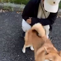 目を細めるぽてとくん