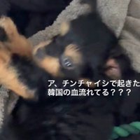 なぜかいいタイミングで目覚める