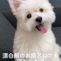 成長したぽぽちゃん3