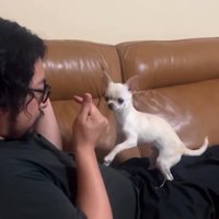 お手本を見せるパパ