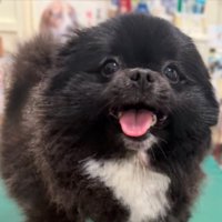 なんだっけ