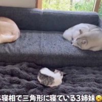 仲睦まじい3姉妹
