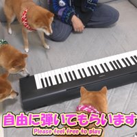 ピアノの周りに集合