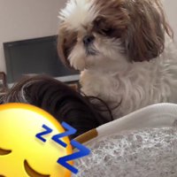 「起こそうかな…どうしようかな…」