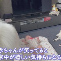 平和な時間が流れます