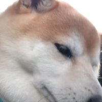 うつむいてしょんぼり
