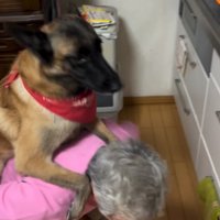大型犬を降ろそうとしゃがみ込む