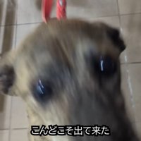 まずはパパさんに飛びついて…