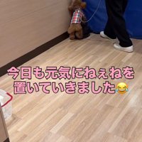 教室の奥へ行ったトイプー