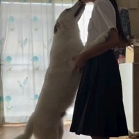 お姉ちゃん帰宅時のまる君2