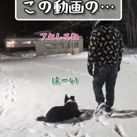 指示に従うU2くん