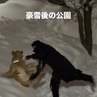 ボフッ