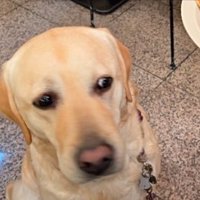 似てる