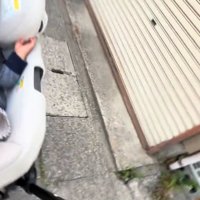 お散歩中
