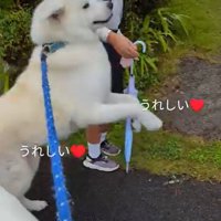 ジャンプするこうたろう君