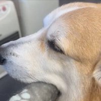 熟睡