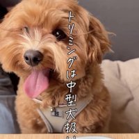 笑顔全開！
