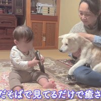 微笑ましい光景