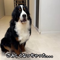寂しそうなお顔！