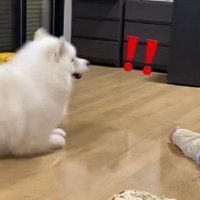 「！！」