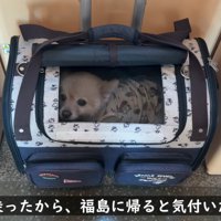 7ヶ月ぶりに帰省