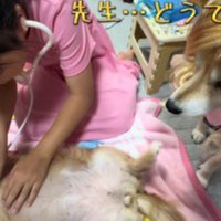 診断結果はインフルエンザ