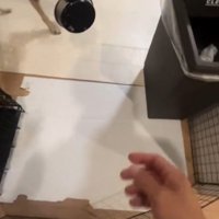 咥えた皿を飼い主のところへ持ってきた犬