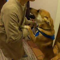 家族が出かける日のワンジローくん⑩