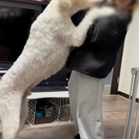 ソラちゃんの熱烈歓迎⑩