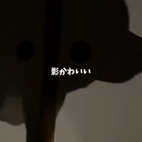 壁に映る犬のシルエット