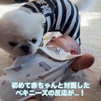 心温まる初対面でした♡