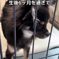 生後6ヶ月を越して…