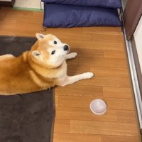 投稿主さんと一緒にのんびり