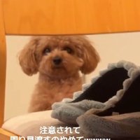 「え…なんのこと？」