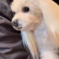 久しぶりの抱っこ