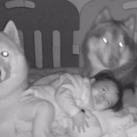 再び寝ころぶ赤ちゃん