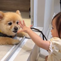お顔に触れようとする場面も