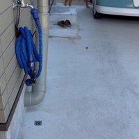 お手伝いするホット君4