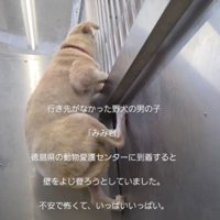 不安と恐怖でいっぱい…