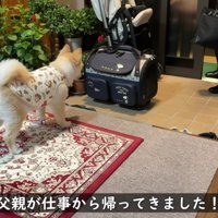 じいじを大喜びでお出迎え