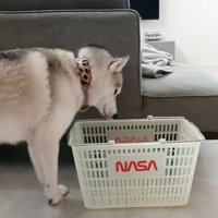 カゴの前でイメトレ