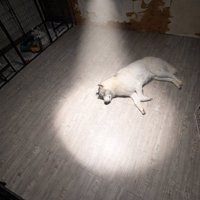 人気アニメと完全一致！？