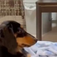 姉宅