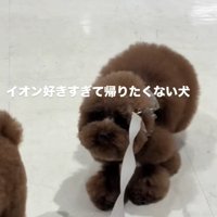 拒否する1匹
