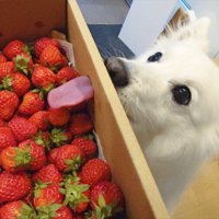衝撃