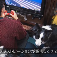 「僕よりゲームが大事なの！？」