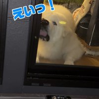 もちろん仕留められません…