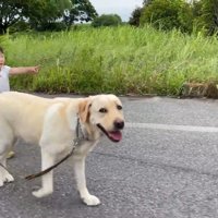 仲良く歩く姿が尊い♡